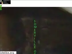 Sites similar to somervilleopenstudios.org
