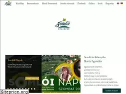 Sites similar to somloiborut.hu