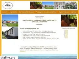 Sites similar to somogyifeszer.hu