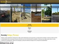 Sites similar to sondajkuyusu.com