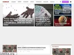 Sites similar to sondakikahaberler.com.tr