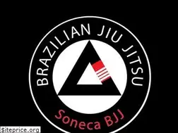Sites similar to sonecabjj.com