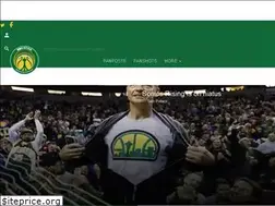 Sites similar to sonicsrising.com