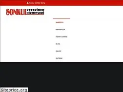 Sites similar to sonkulveteriner.com