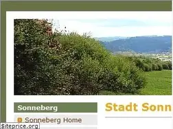 Sites similar to sonneberg-info.de
