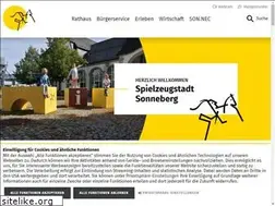Sites similar to sonneberg.de