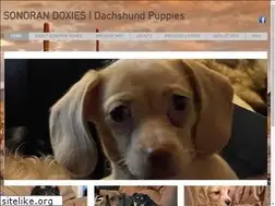 Sites similar to sonorandoxies.com