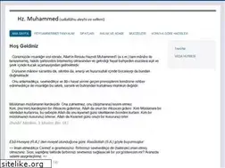 Sites similar to sonpeygamber.net