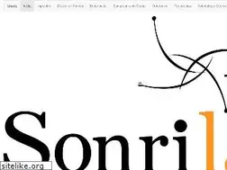Sites similar to sonrilaser.com