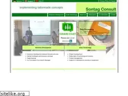 Sites similar to sontag-consult.com