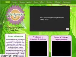 Sites similar to sonyando.com.ar