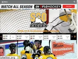 Sites similar to sooeagles.net