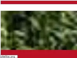 Sites similar to soonerthanlater.ie