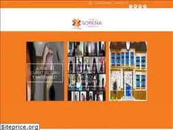 Sites similar to sopenafundacion.org
