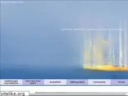 Sites similar to sophrologies.fr
