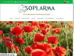 Sites similar to soplarma.com