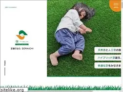 Sites similar to soraichi-tree.com