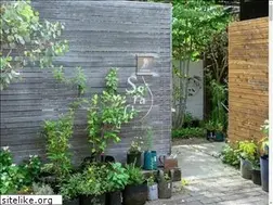 Sites similar to sorali.info