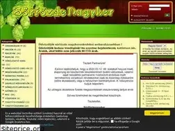 Sites similar to sorfozdenagyker.hu