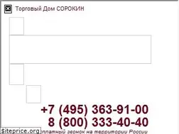 Sites similar to sorokin.ru