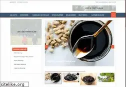 Sites similar to sorucozumu.com