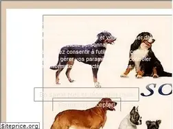 Sites similar to soschiensderace.com
