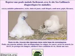 Sites similar to sosgali.org