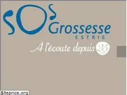 Sites similar to sosgrossesseestrie.qc.ca