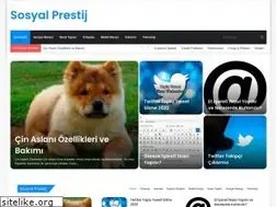 Sites similar to sosyalprestij.com