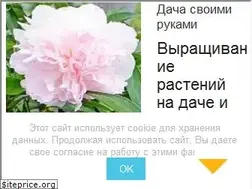 Sites similar to sotkiradosti.ru
