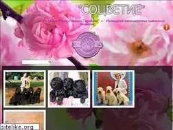 Sites similar to sotsvetie.com
