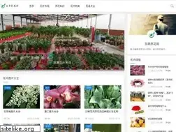 Sites similar to soufihospital.net