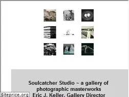 Sites similar to soulcatcherstudio.com