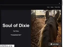 Sites similar to soulofdixie.com