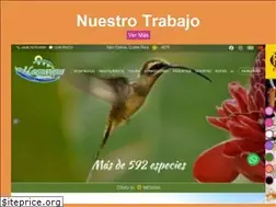 Sites similar to soulwebsolution.com