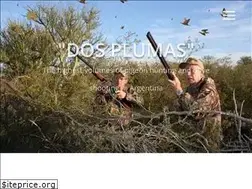 Sites similar to south-pioneers.com