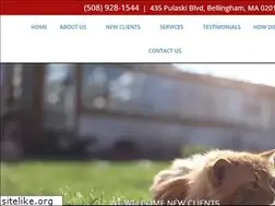 Sites similar to southbellinghamvet.com