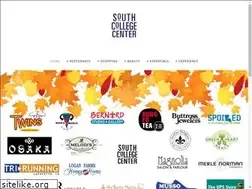 Sites similar to southcollegecenterlaf.com