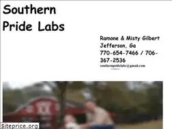 Sites similar to southernpridelabs.com