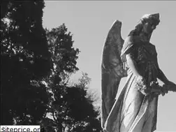 Sites similar to southernspiritguide.org