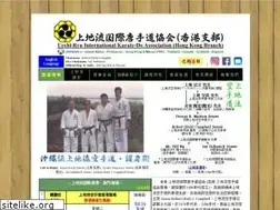 Sites similar to southkungfu.com