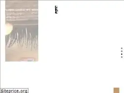 Sites similar to southshoretiki.com
