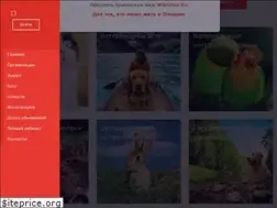 Sites similar to sovet-veterinarov.ru