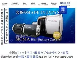 Sites similar to sowa-sanso.jp
