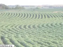 Sites similar to soyfood.com