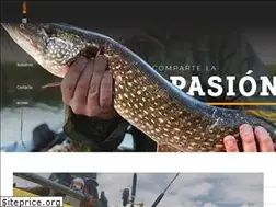 Sites similar to soyoutdoor.com
