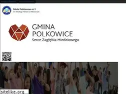 Sites similar to sp3.polkowice.pl