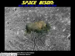 Sites similar to spacebison.com