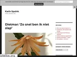 Sites similar to spaink.net