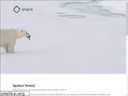 Sites similar to spakur.is
